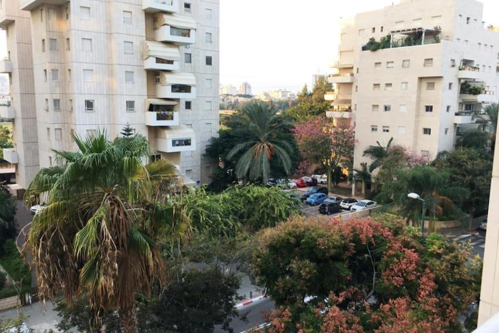 Comfortable quiet room with a private bathroom in shared apartment - Queen Room בהרצליה – תצלום מקום האירוח 4 מתוך 9
