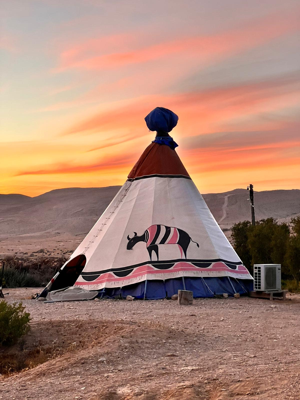 חוות זית המדבר Desert olive farm בשדה בוקר – תצלום מקום האירוח 3 מתוך 9