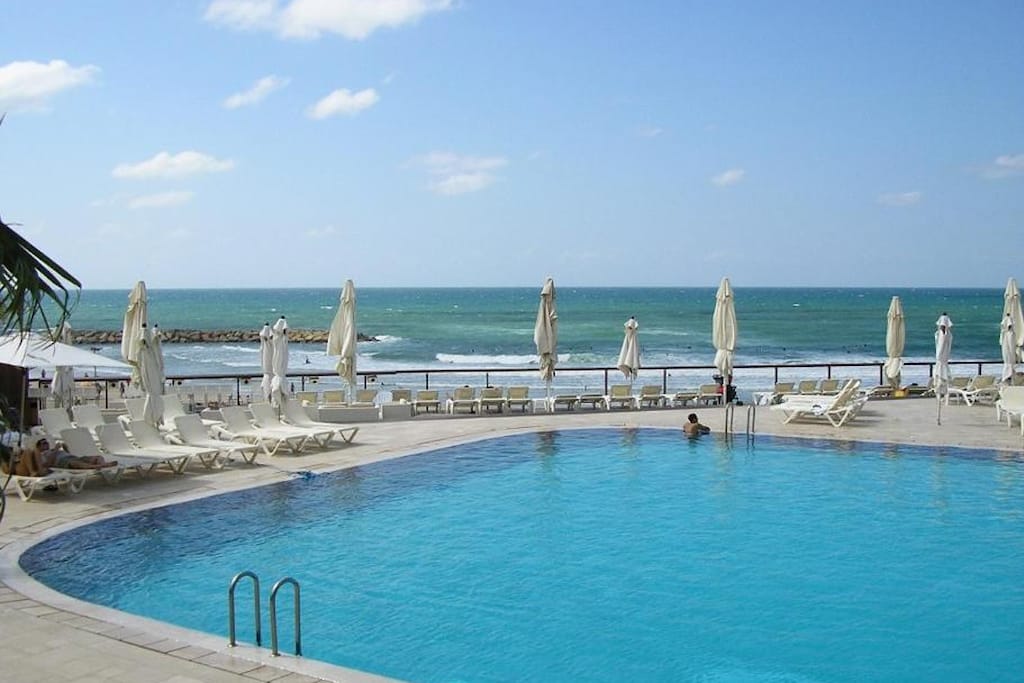 Raphael Apartments - One-Bedroom Apartment