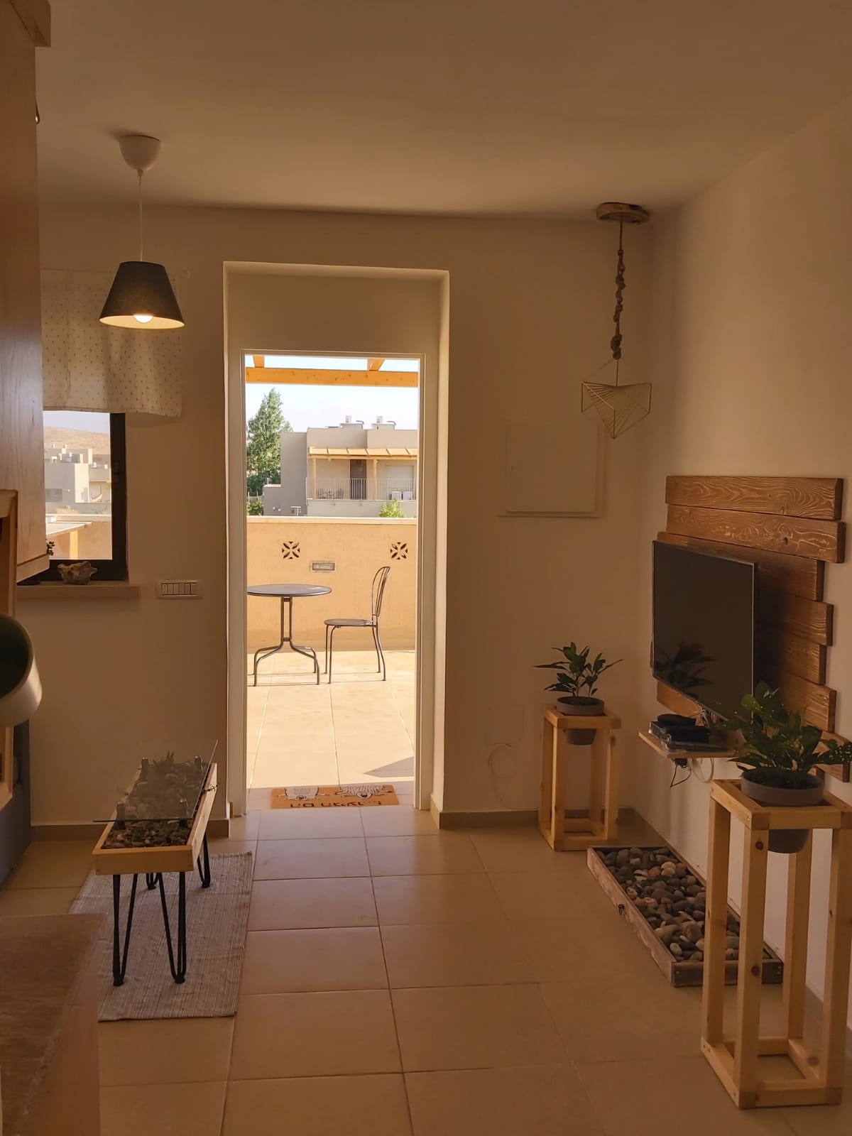 צמח בר מדרשת בן גוריון