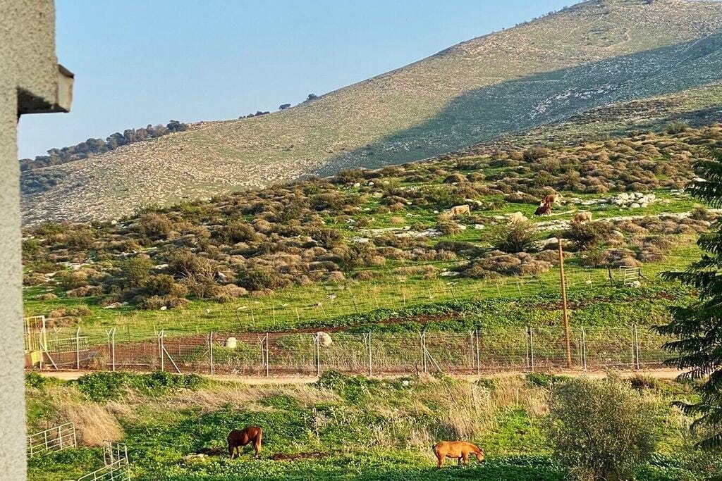 Casa Gilboa - The perfect country getaway. בניר דוד – תצלום מקום האירוח 3 מתוך 9