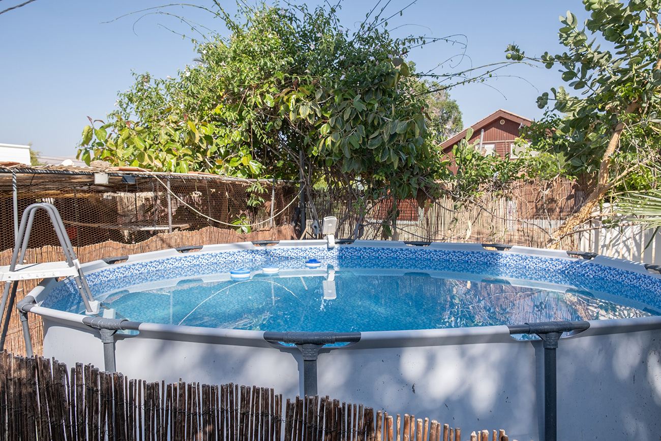 Lowest Place on Earth B&B Group Low Cost Accommodation | המקום הנמוך בעולם צימר למשפחות וקבוצות עם בריכה כלבים נוודים דיגי
