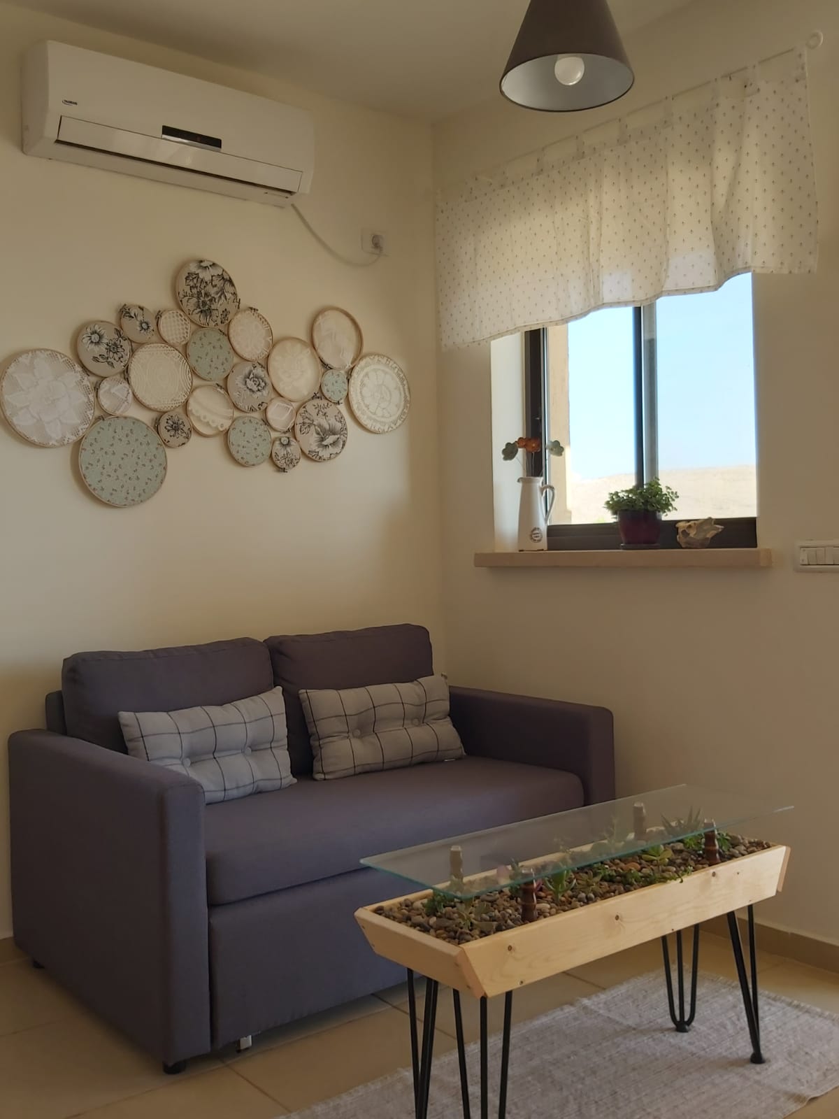 צמח בר מדרשת בן גוריון בשדה בוקר – תצלום מקום האירוח 3 מתוך 9