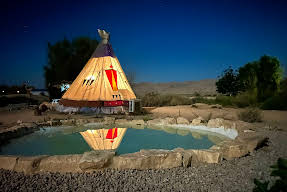 חוות זית המדבר Desert olive farm
